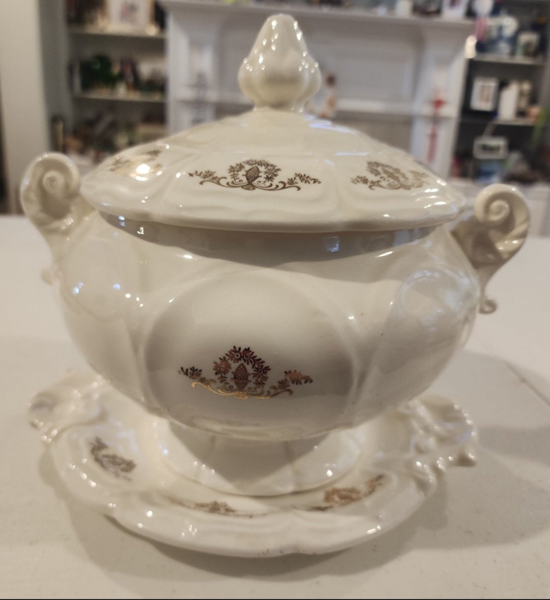 Vintage Porcelain Soup Tureen and plate Gold Floral Design