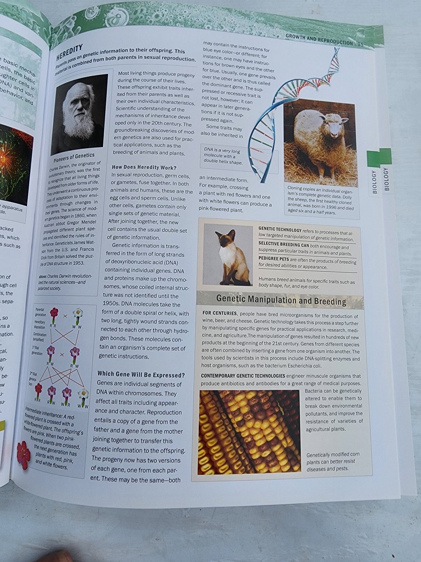 The Knowledge Book (National Geographic Society, 2007) Big textbook - I Bought a Yard Sale