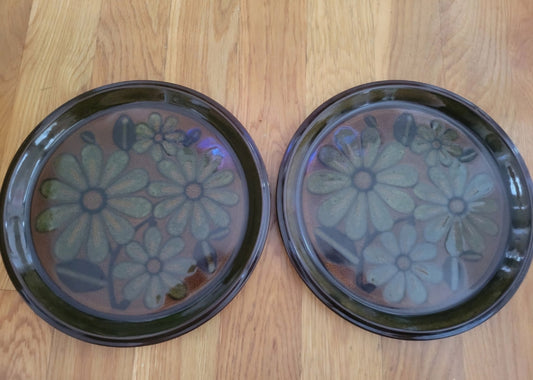 2 Mikasa Dimension Plates with Daisies 10.5" (115) - I Bought a Yard Sale