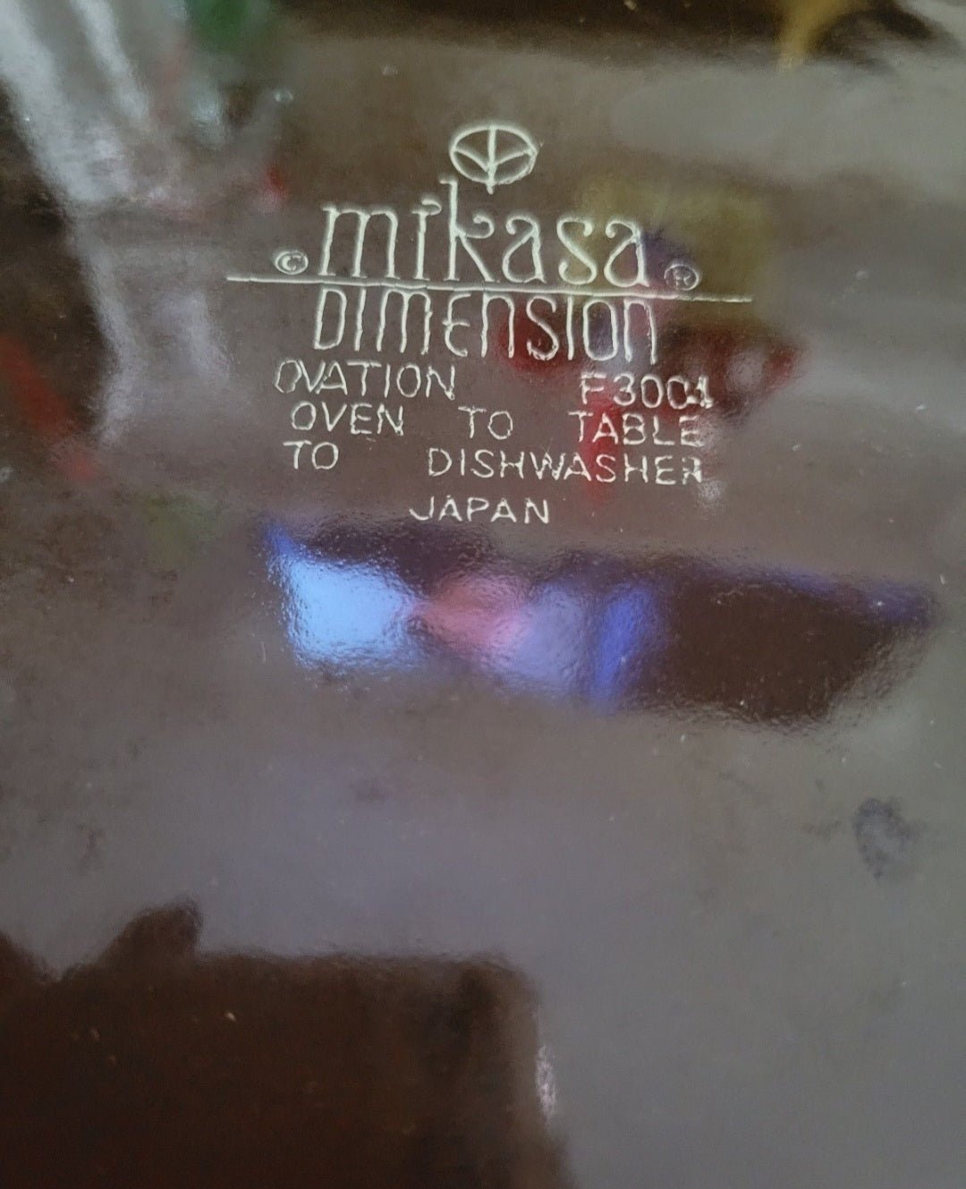 2 Mikasa Dimension Plates with Daisies 10.5" (115) - I Bought a Yard Sale