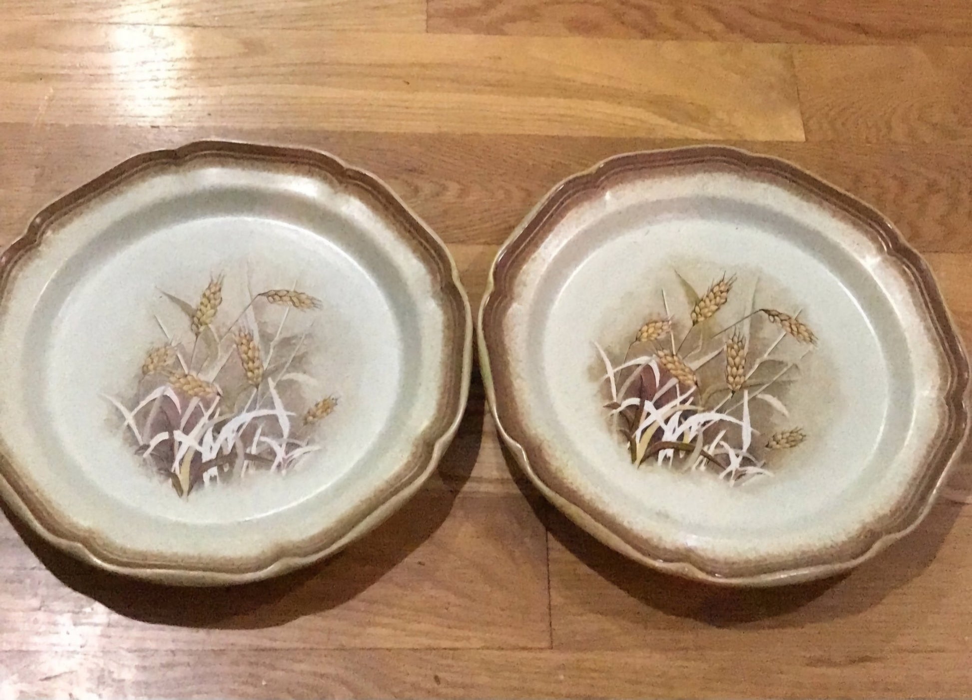 2 Mikasa whole Wheat “Granola” Vintage Stoneware Plates E8001 - I Bought a Yard Sale
