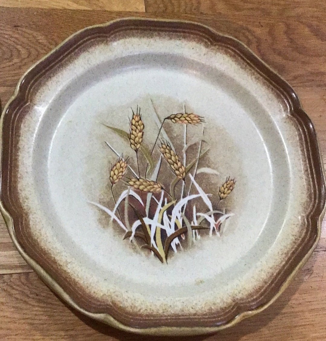 2 Mikasa whole Wheat “Granola” Vintage Stoneware Plates E8001 - I Bought a Yard Sale