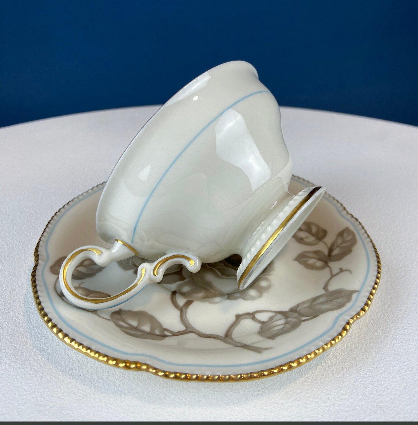 24 Piece Porcelain Dinner Set. Castleton Gloria. Beautiful Neutral Hand Painted Roses. 5 Dinner, Salad, Dessert Plates, Berry Bowls, 4 Cups. - I Bought a Yard Sale