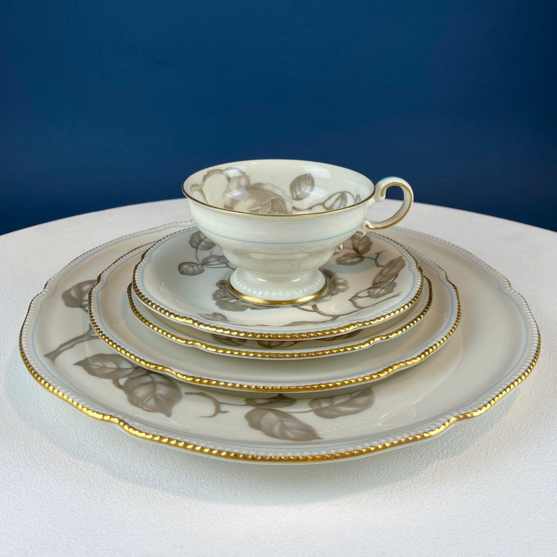 24 Piece Porcelain Dinner Set. Castleton Gloria. Beautiful Neutral Hand Painted Roses. 5 Dinner, Salad, Dessert Plates, Berry Bowls, 4 Cups. - I Bought a Yard Sale