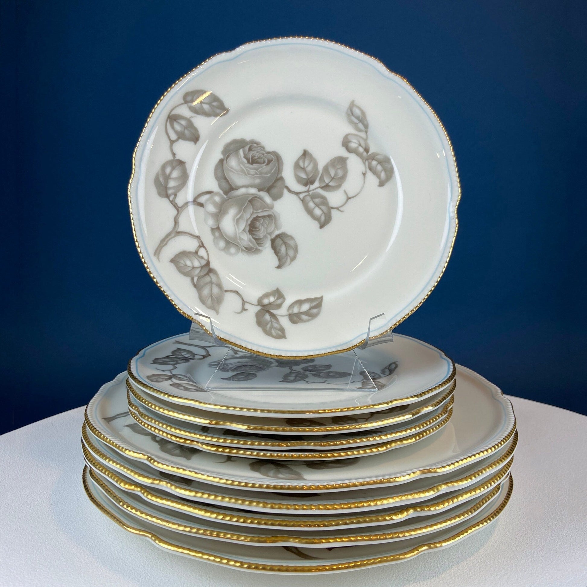 24 Piece Porcelain Dinner Set. Castleton Gloria. Beautiful Neutral Hand Painted Roses. 5 Dinner, Salad, Dessert Plates, Berry Bowls, 4 Cups. - I Bought a Yard Sale