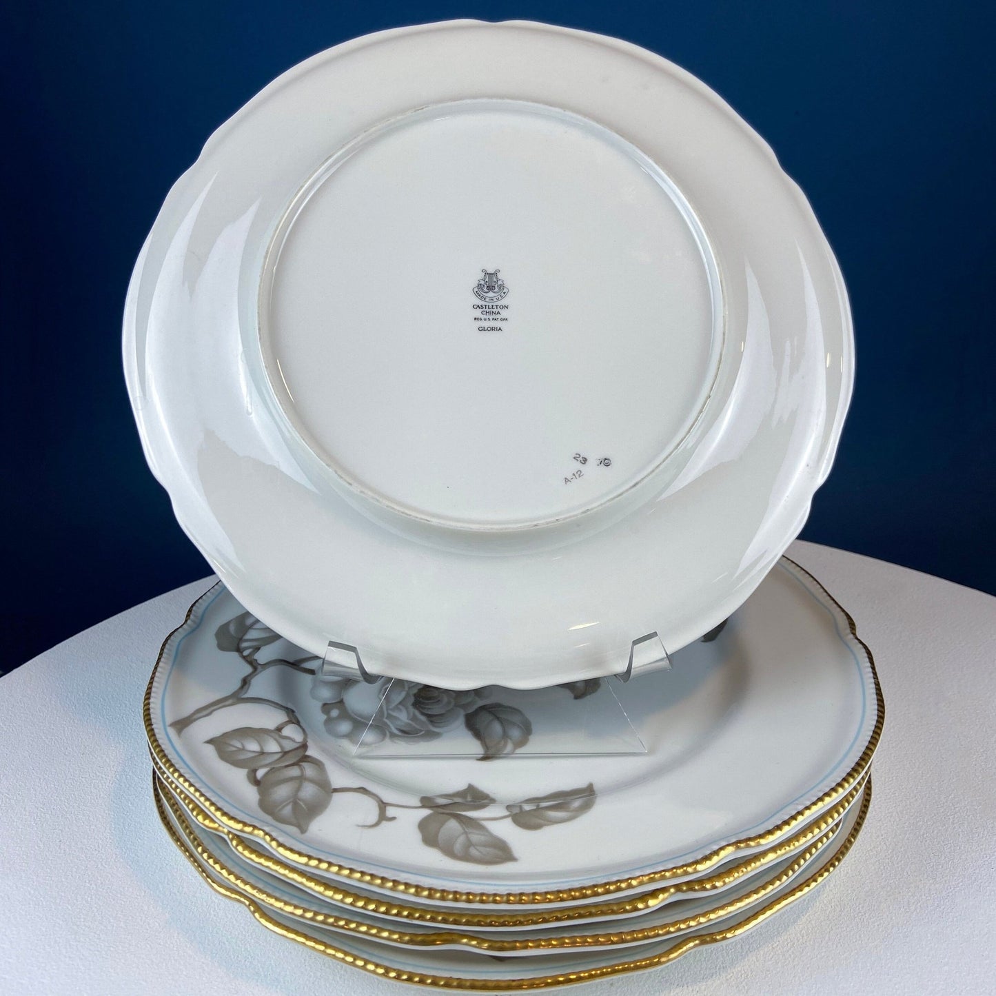 24 Piece Porcelain Dinner Set. Castleton Gloria. Beautiful Neutral Hand Painted Roses. 5 Dinner, Salad, Dessert Plates, Berry Bowls, 4 Cups. - I Bought a Yard Sale