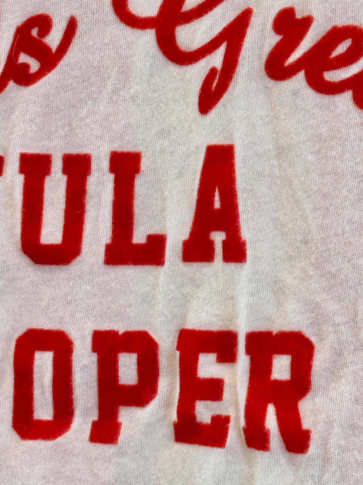 Wildfox Wildfox World’s Greatest Hula Hooper Raglan Women’s Top - Red * Pre-Owned *