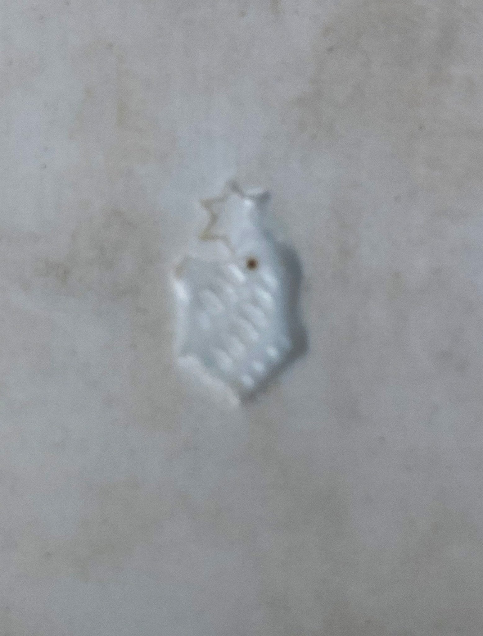 Antique Star Paragon Tea, Coffee, or Chocolate Set. Tray with Matching 5 Cups & Saucers. Delicate Fluting and Flowers. Dining Room Decor. - I Bought a Yard Sale