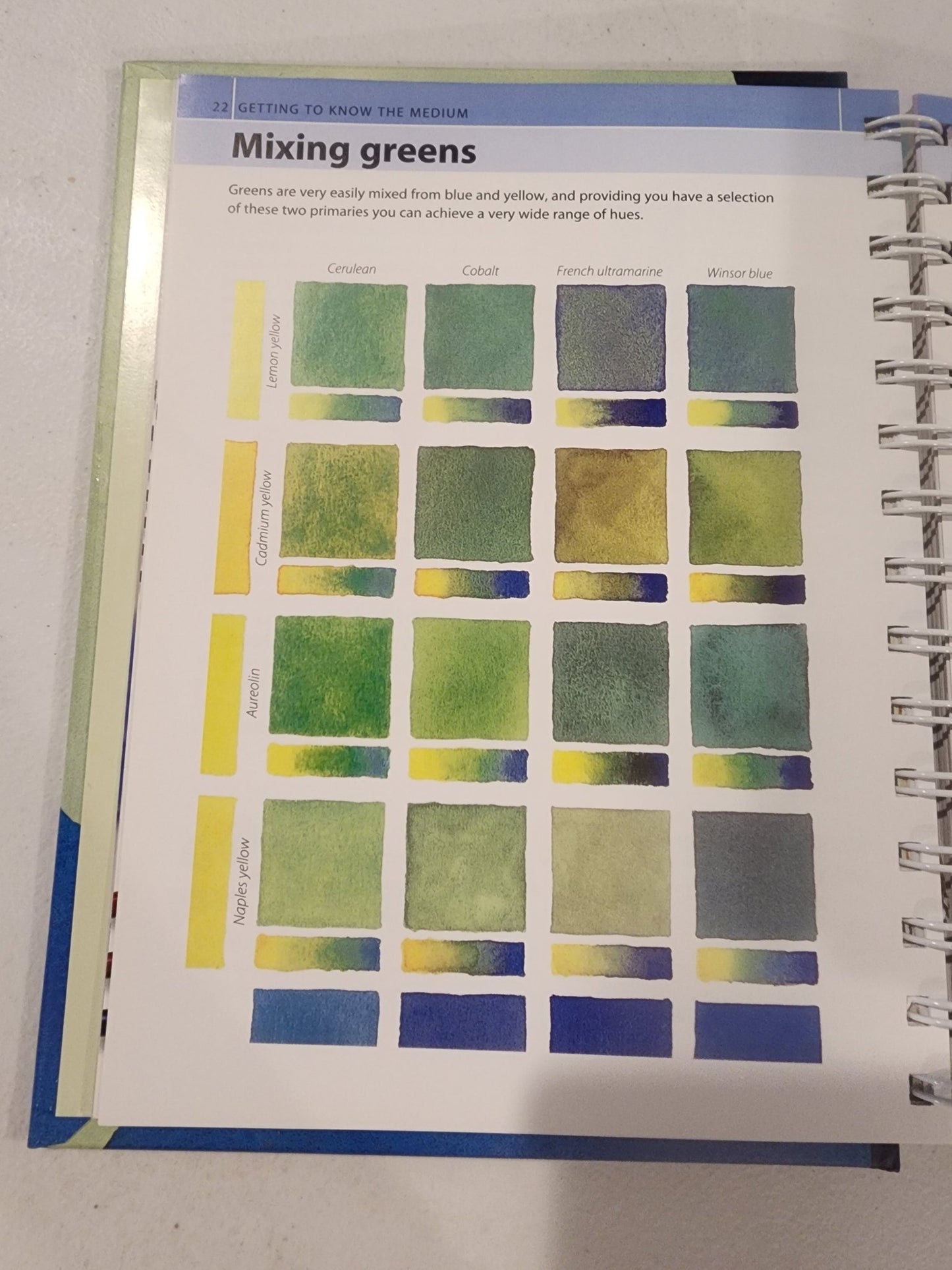 Artist's Bibles Ser.: The Watercolor Artist's Bible by Marylin Scott (2009,... - I Bought a Yard Sale