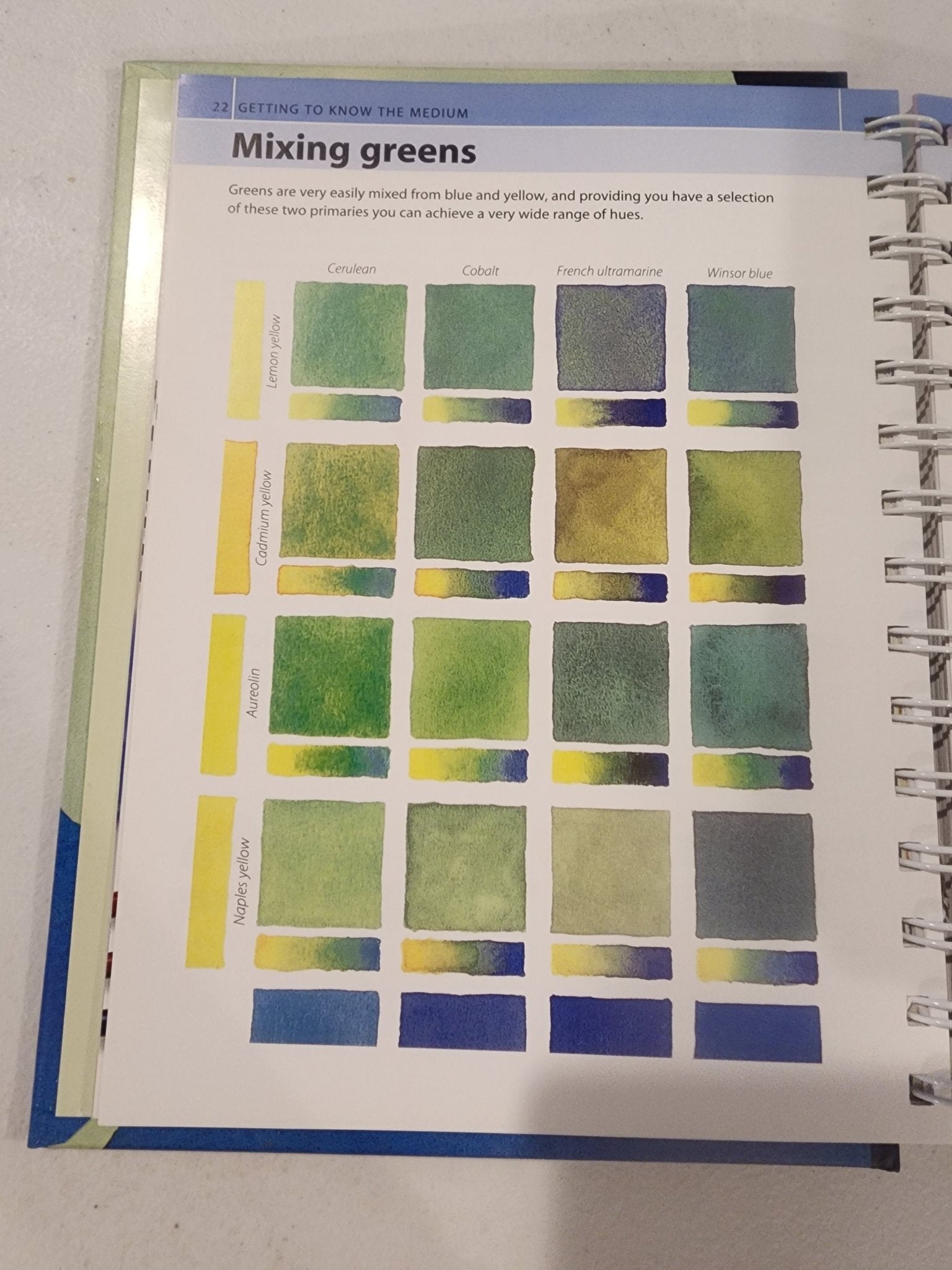 Artist's Bibles Ser.: The Watercolor Artist's Bible by Marylin Scott (2009,... - I Bought a Yard Sale