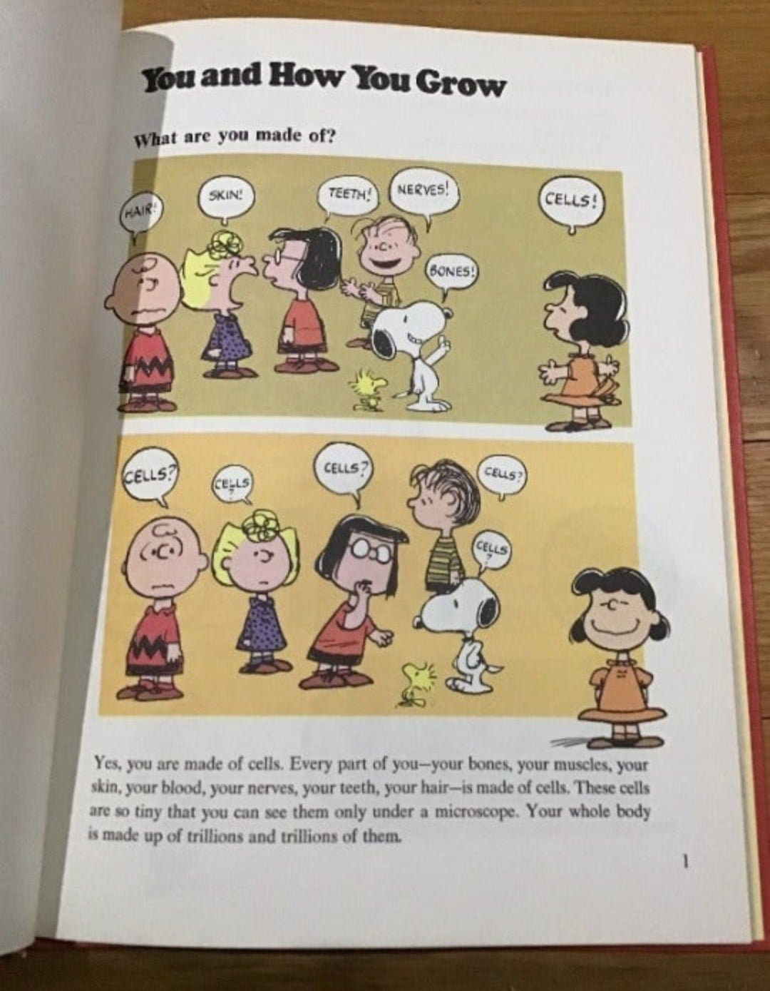 Charlie Brown's 'Cyclopedia Vol. 1 - Fun Facts About the Human Body! - I Bought a Yard Sale
