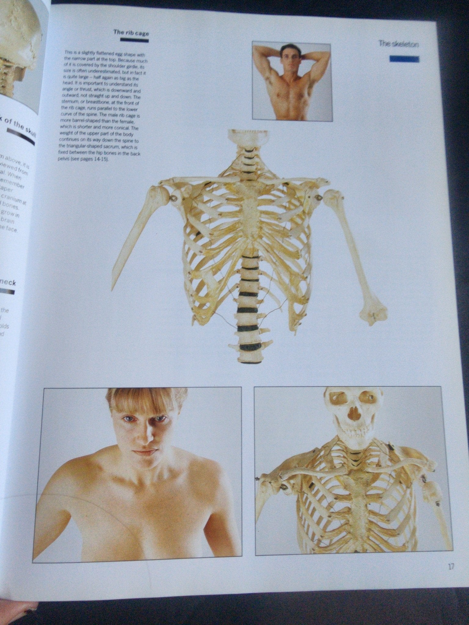 Complete Life Drawing Course by Diana Constance - Learn Figure Drawing & Anatomy - I Bought a Yard Sale