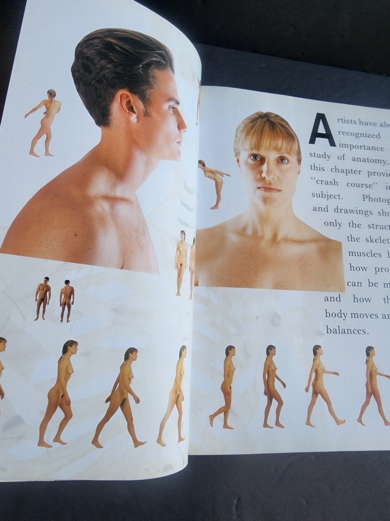 Complete Life Drawing Course by Diana Constance - Learn Figure Drawing & Anatomy - I Bought a Yard Sale