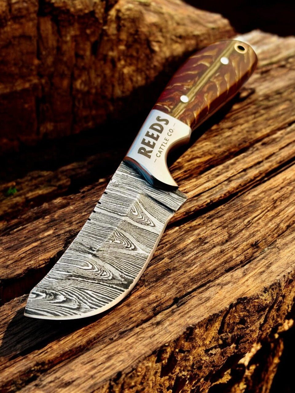 Cowboy Knife 3.25" Damascus Blade with Red Pine Cone Resin Handle - I Bought a Yard Sale