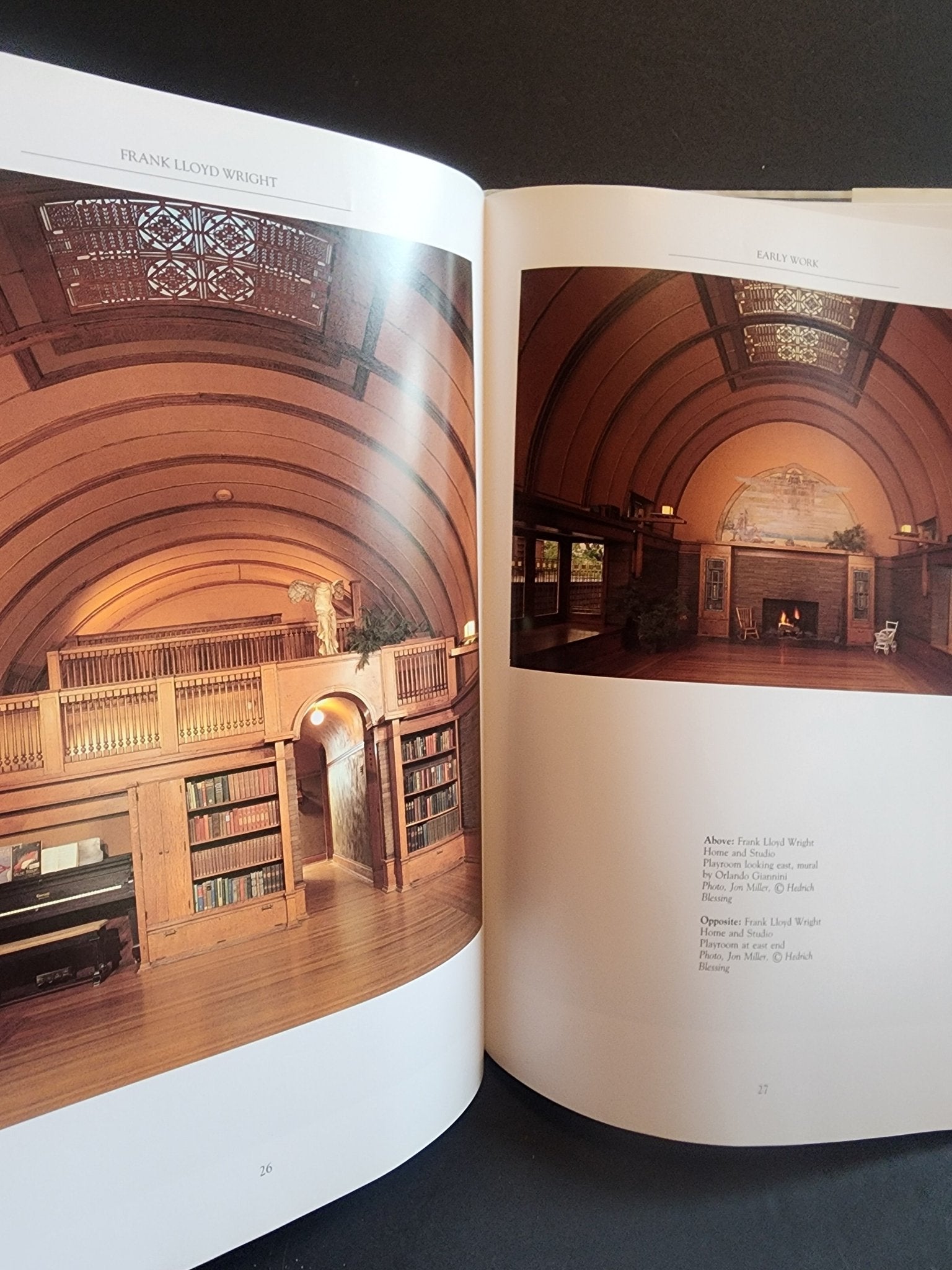 Frank Lloyd Wright Hardcover Book Maria Costantino Architecture Photos Fallingwater 1991 - I Bought a Yard Sale