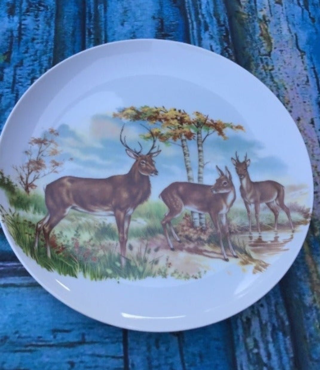 German Stoneware Plate depicting a family of deer in a picturesque forest scene - I Bought a Yard Sale