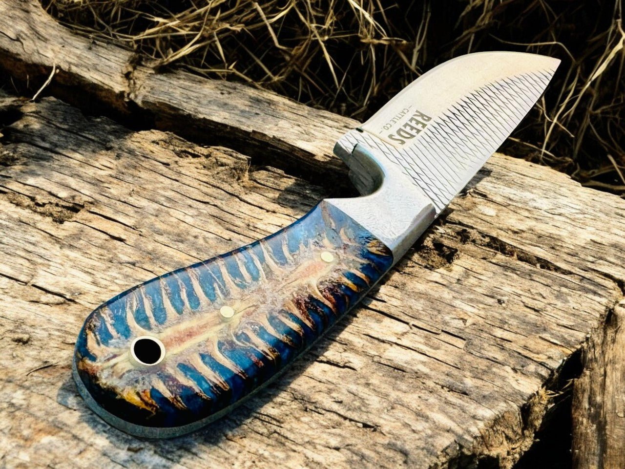 Hunting Knife with 4" Rasp Steel Blade & Blue Pine - Cone Resin Handle - I Bought a Yard Sale