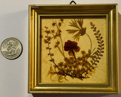 Vintage West German Dried Flower Art 🌸 1972 Framed Pressed Botanical Miniature