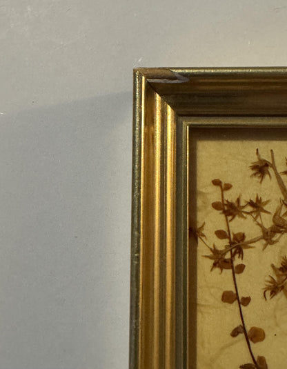 Vintage West German Dried Flower Art 🌸 1972 Framed Pressed Botanical Miniature