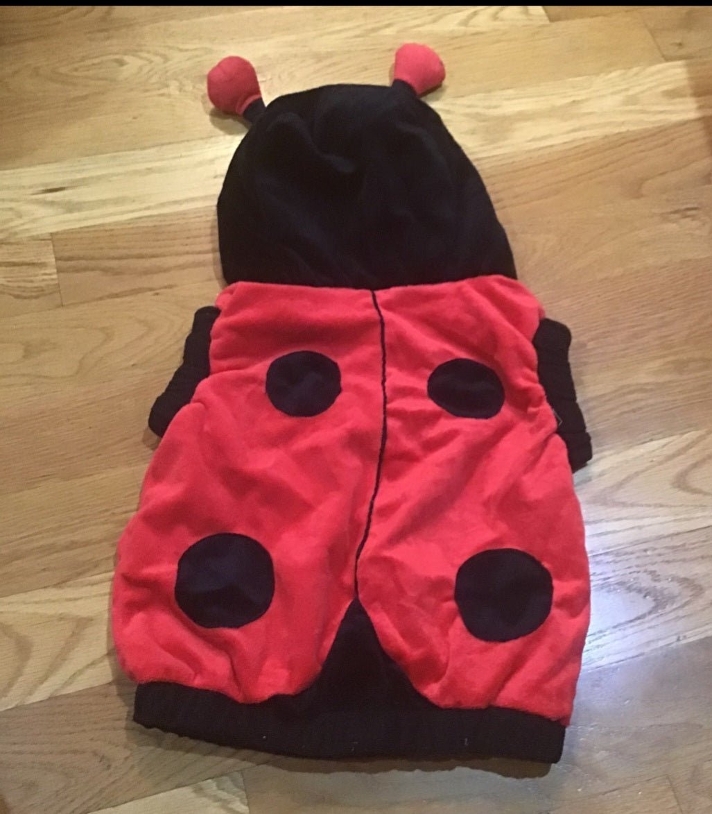 Plush Lady Bug Costume size 2 - 4 for your ladybug - I Bought a Yard Sale
