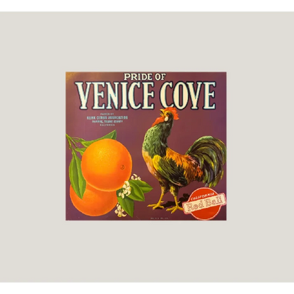 Antique 1930s Pride of Venice Cove Orange Crate Label — Klink Citrus Association, Ivanhoe, Tulare County CA