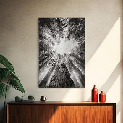 Redwood Canopy Sky, Majestic Forest Trees, Vertical Nature Scene, Framed Canvas Print, Wilderness Wall Art, Lodge or Den Decor - I Bought a Yard Sale
