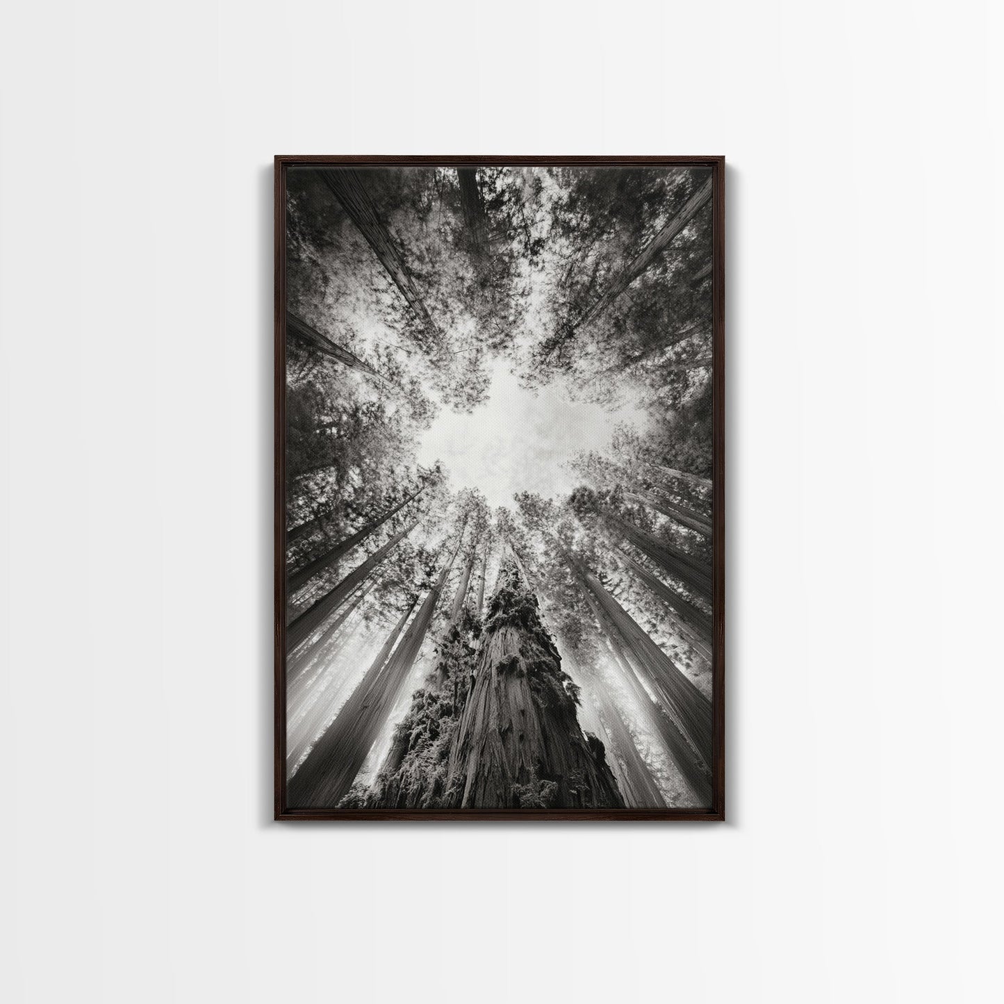 Redwood Canopy Sky, Majestic Forest Trees, Vertical Nature Scene, Framed Canvas Print, Wilderness Wall Art, Lodge or Den Decor - I Bought a Yard Sale