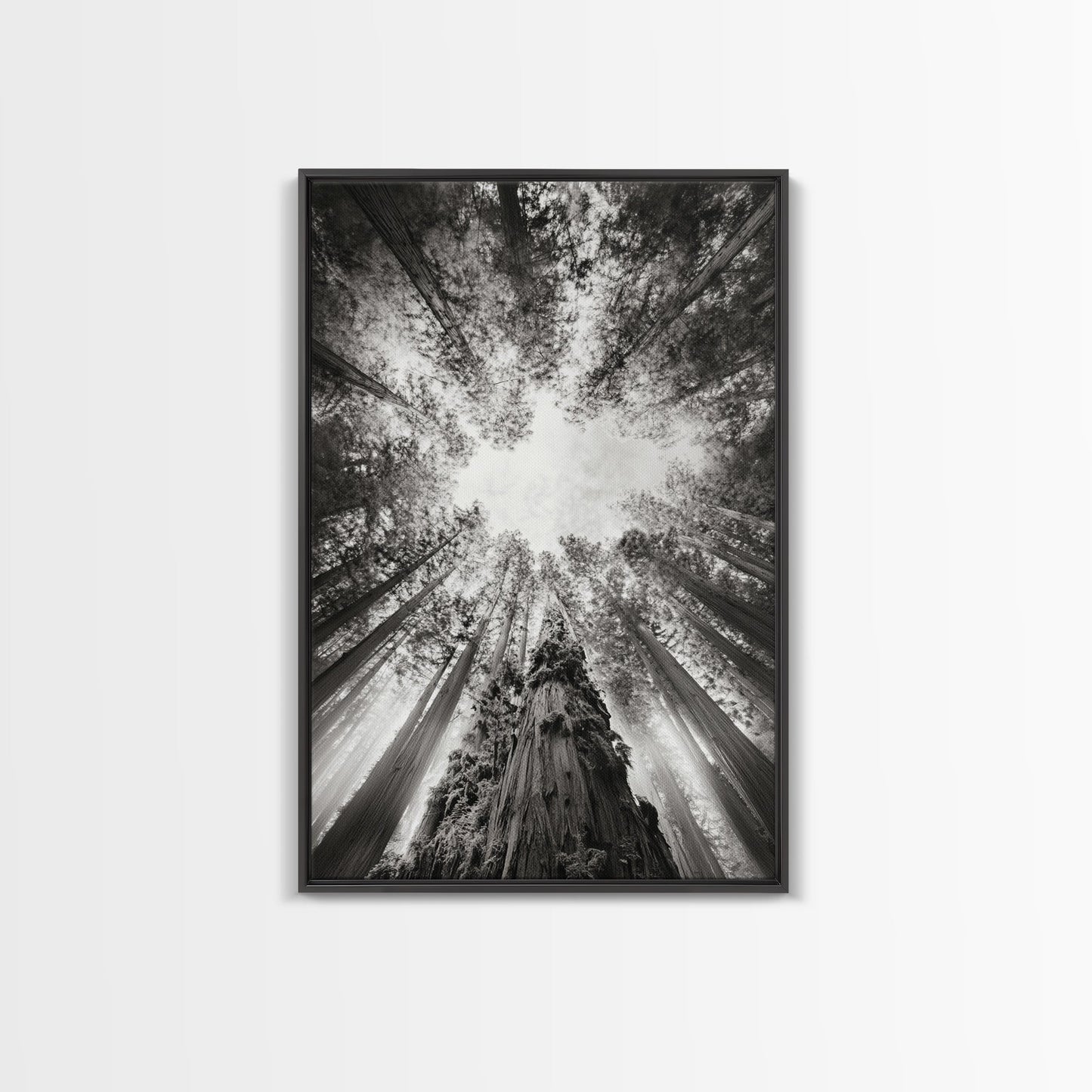 Redwood Canopy Sky, Majestic Forest Trees, Vertical Nature Scene, Framed Canvas Print, Wilderness Wall Art, Lodge or Den Decor - I Bought a Yard Sale