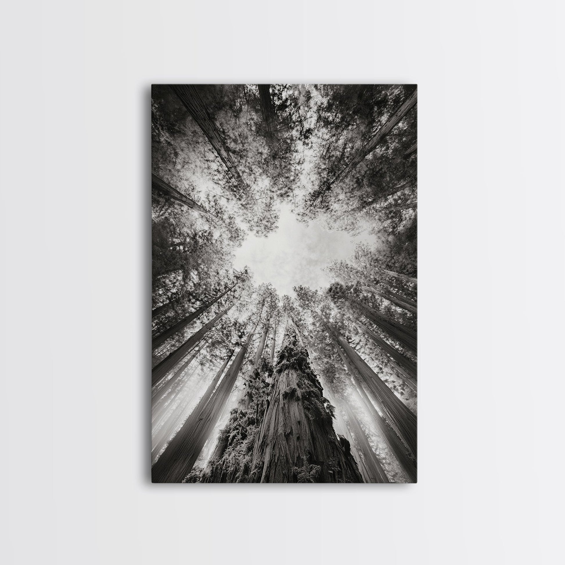 Redwood Canopy Sky, Majestic Forest Trees, Vertical Nature Scene, Framed Canvas Print, Wilderness Wall Art, Lodge or Den Decor - I Bought a Yard Sale
