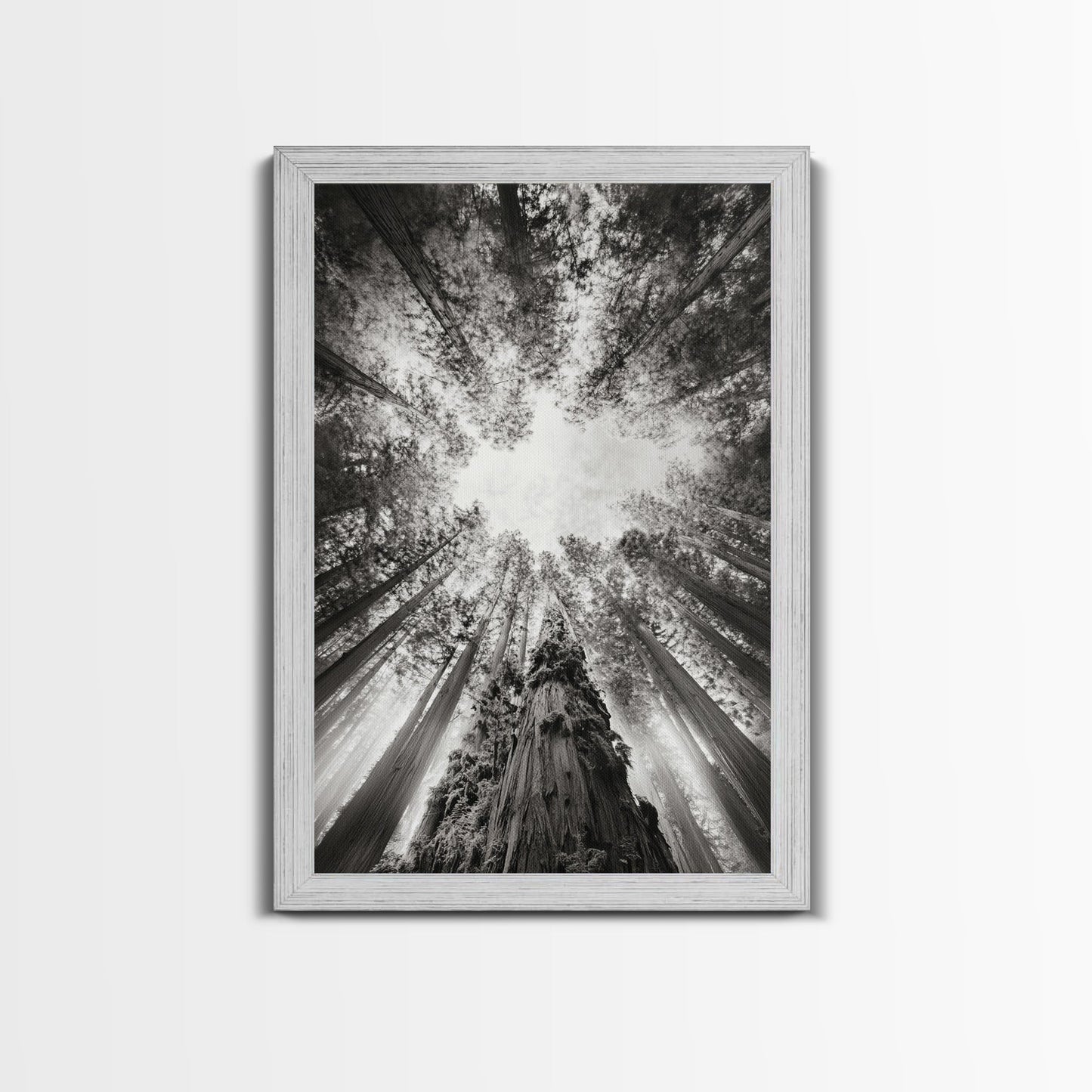 Redwood Canopy Sky, Majestic Forest Trees, Vertical Nature Scene, Framed Canvas Print, Wilderness Wall Art, Lodge or Den Decor - I Bought a Yard Sale