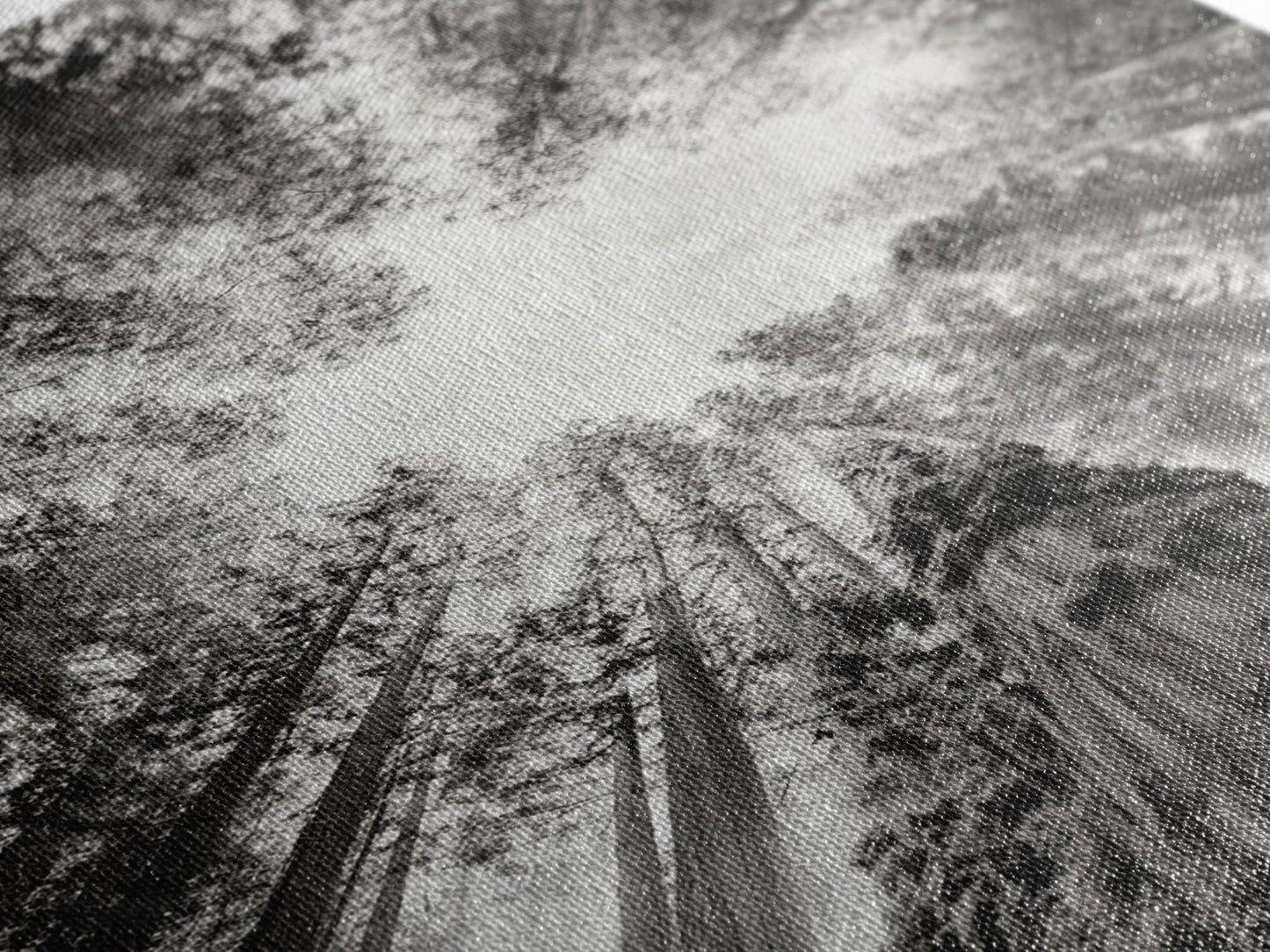 Redwood Canopy Sky, Majestic Forest Trees, Vertical Nature Scene, Framed Canvas Print, Wilderness Wall Art, Lodge or Den Decor - I Bought a Yard Sale