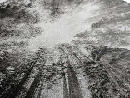 Redwood Canopy Sky, Majestic Forest Trees, Vertical Nature Scene, Framed Canvas Print, Wilderness Wall Art, Lodge or Den Decor - I Bought a Yard Sale