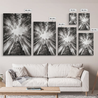 Redwood Canopy Sky, Majestic Forest Trees, Vertical Nature Scene, Framed Canvas Print, Wilderness Wall Art, Lodge or Den Decor - I Bought a Yard Sale