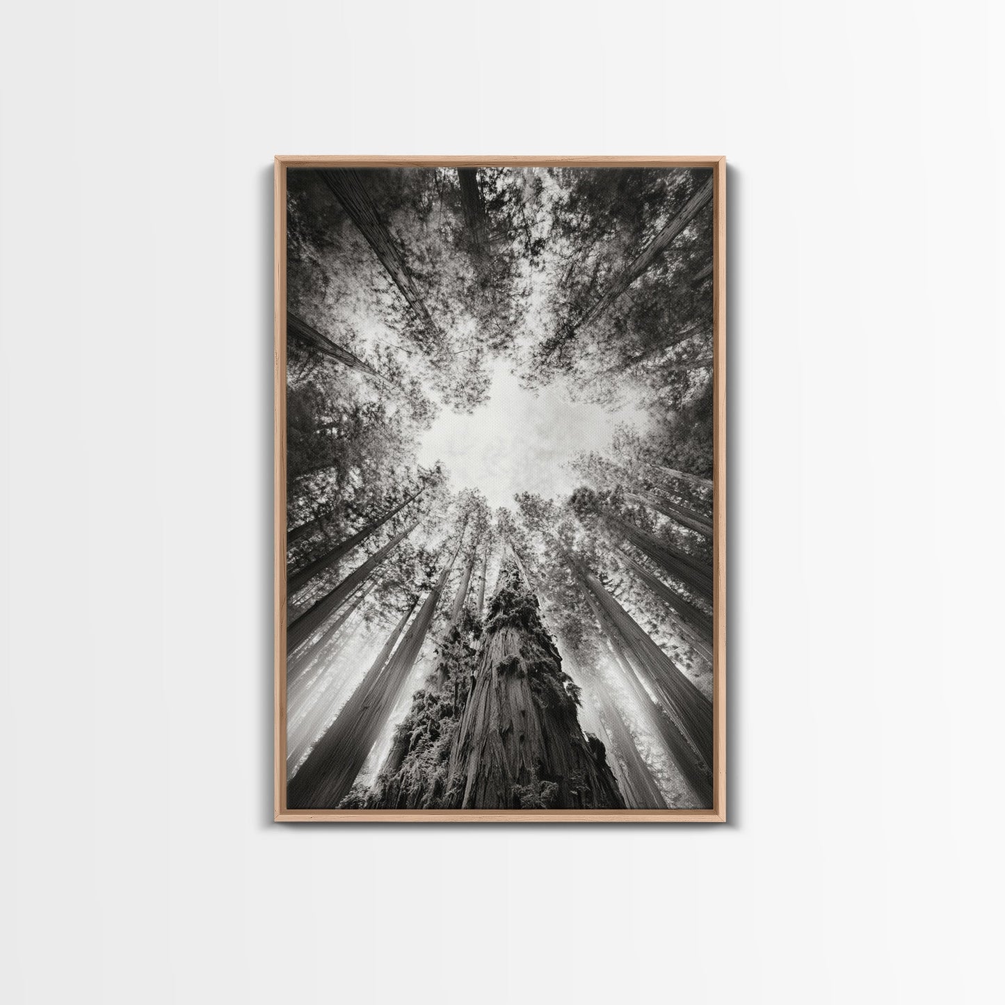 Redwood Canopy Sky, Majestic Forest Trees, Vertical Nature Scene, Framed Canvas Print, Wilderness Wall Art, Lodge or Den Decor - I Bought a Yard Sale
