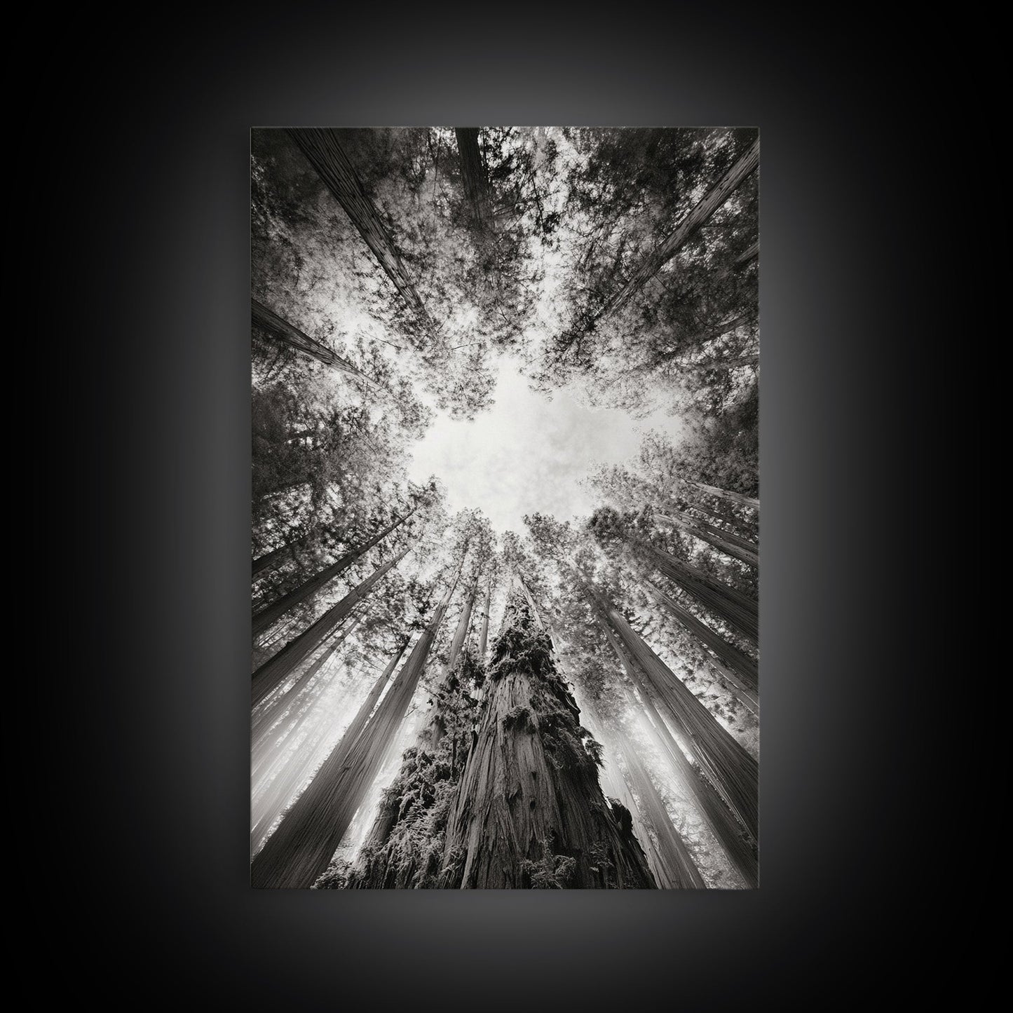 Redwood Canopy Sky, Majestic Forest Trees, Vertical Nature Scene, Framed Canvas Print, Wilderness Wall Art, Lodge or Den Decor - I Bought a Yard Sale