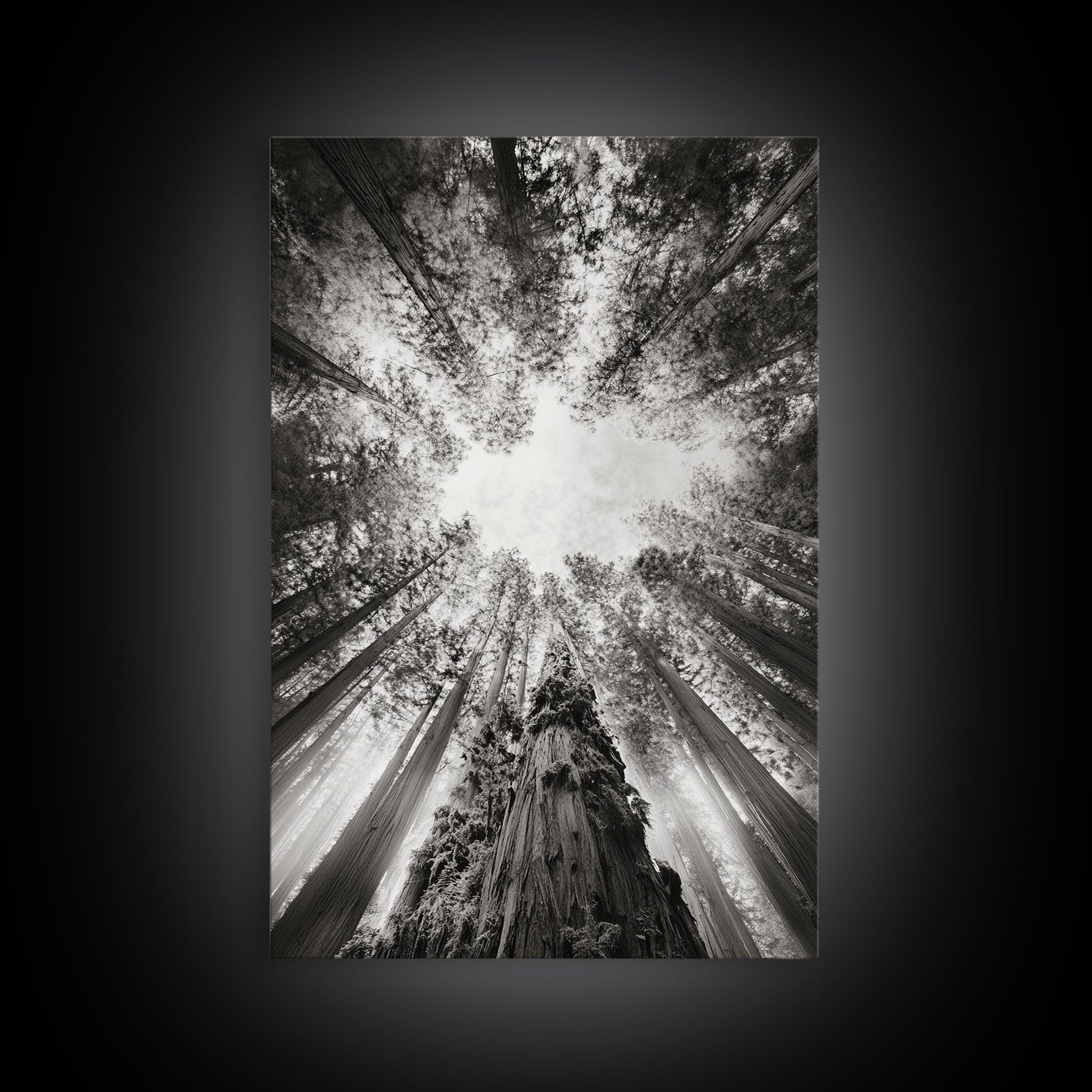 Redwood Canopy Sky, Majestic Forest Trees, Vertical Nature Scene, Framed Canvas Print, Wilderness Wall Art, Lodge or Den Decor - I Bought a Yard Sale