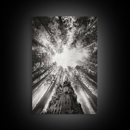 Redwood Canopy Sky, Majestic Forest Trees, Vertical Nature Scene, Framed Canvas Print, Wilderness Wall Art, Lodge or Den Decor - I Bought a Yard Sale