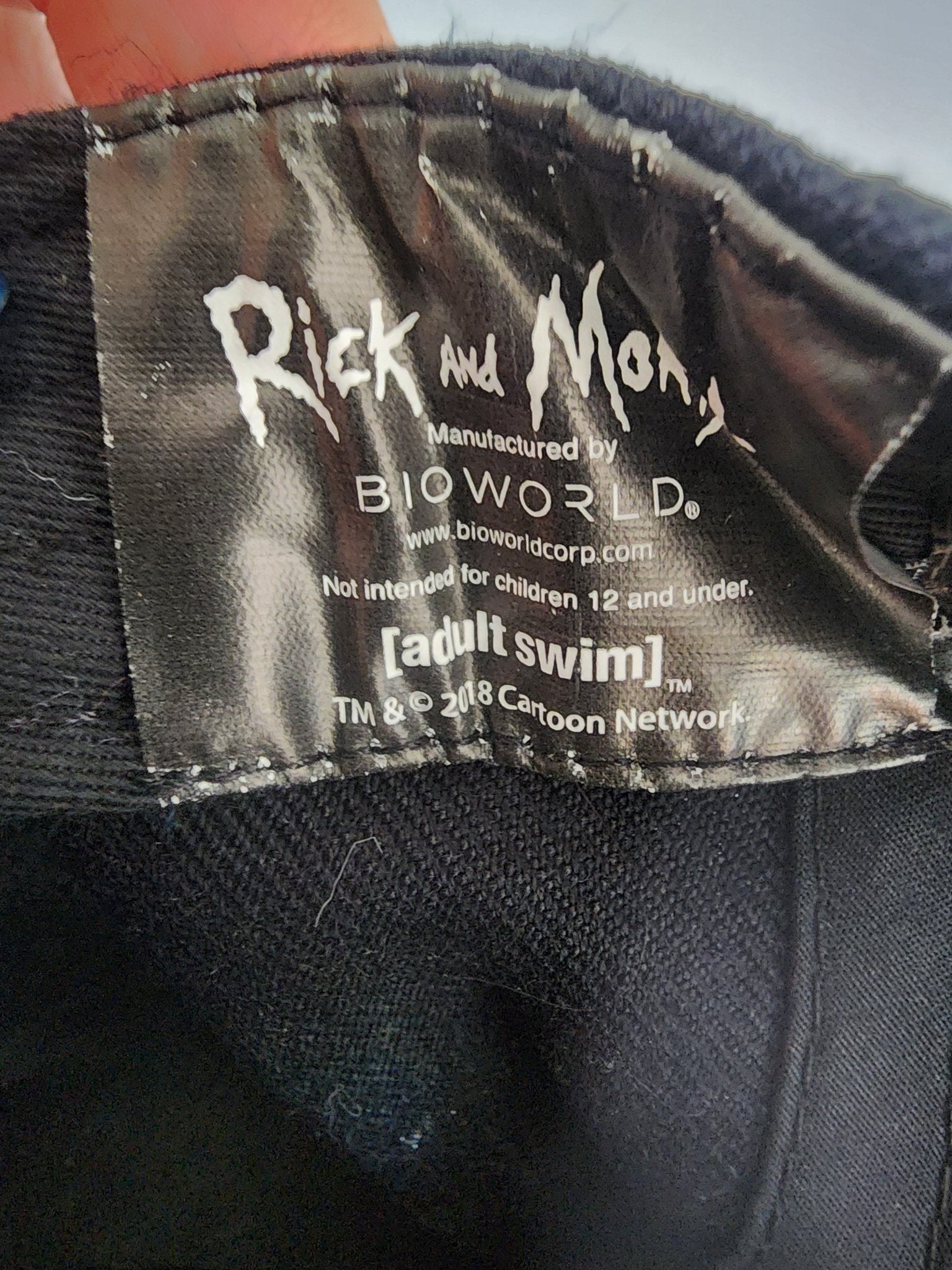 Rick & Morty Pickle Rick Snapback adjustable Hat Adult Swim Cartoon Network Bioworld in good condition never worn, mainly shelf wear. - I Bought a Yard Sale