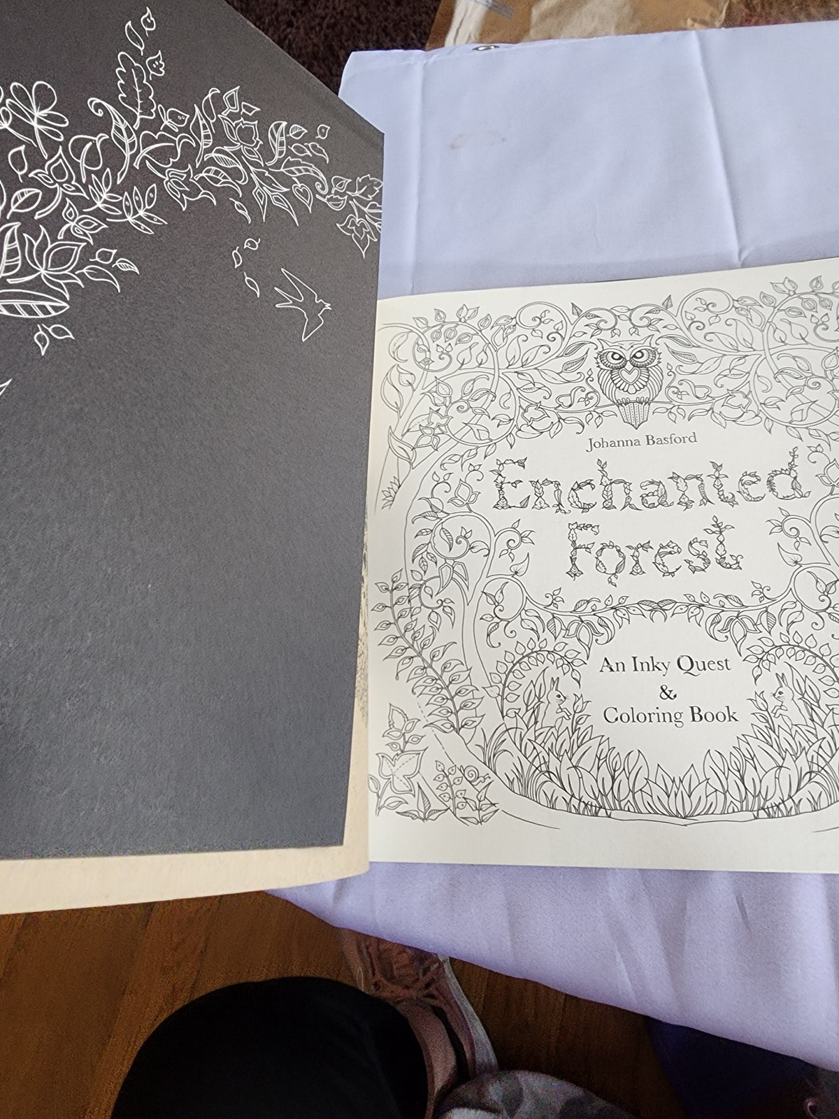 The Enchanted Forest an Inky Quest & Coloring
Book by Johanna Basford