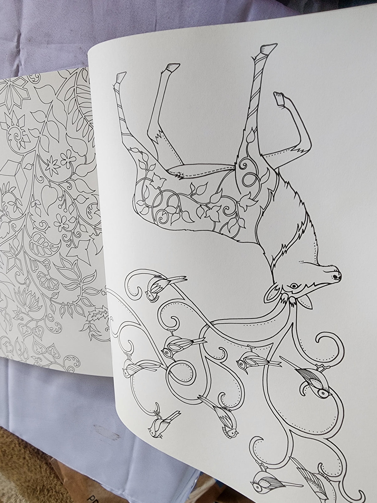 The Enchanted Forest an Inky Quest & Coloring
Book by Johanna Basford
