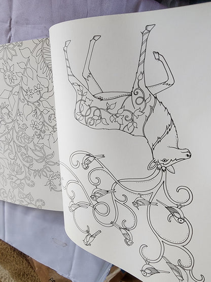 The Enchanted Forest an Inky Quest & Coloring
Book by Johanna Basford