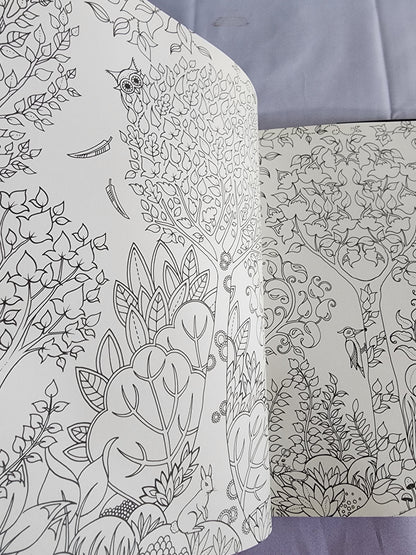 The Enchanted Forest an Inky Quest & Coloring
Book by Johanna Basford