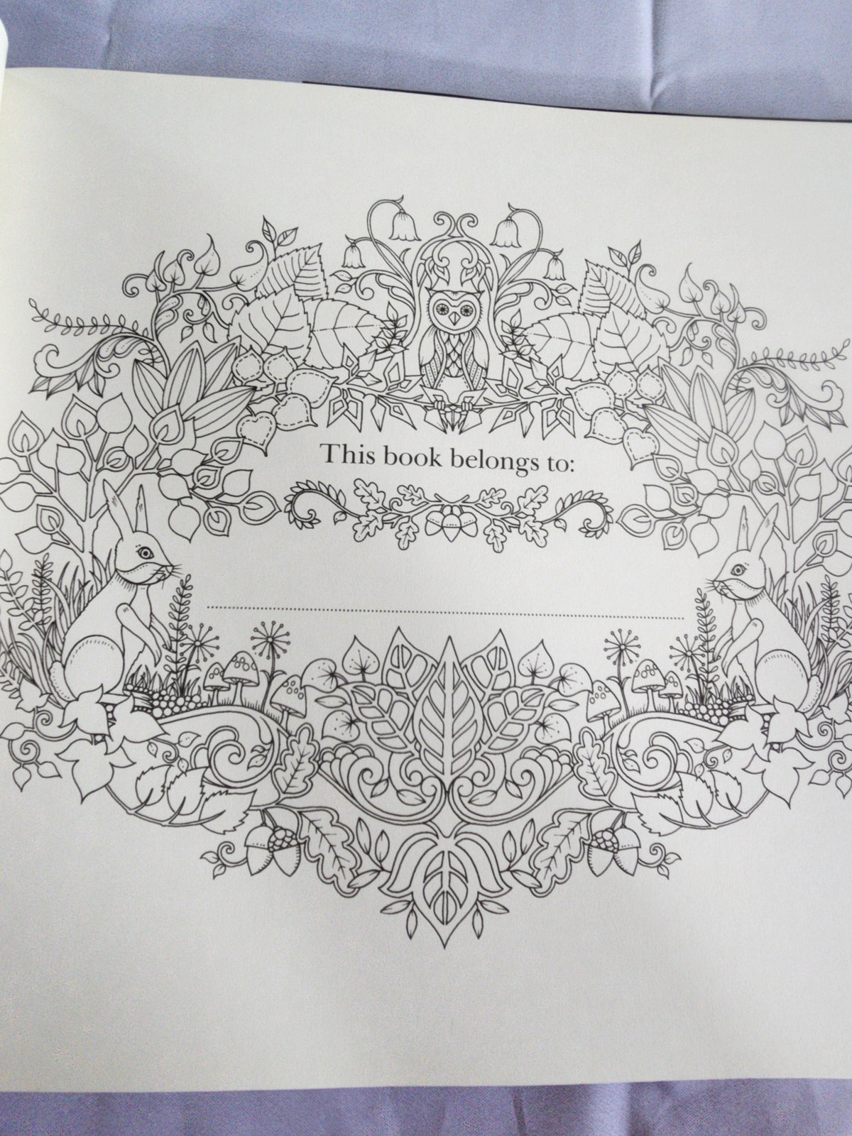 The Enchanted Forest an Inky Quest & Coloring
Book by Johanna Basford