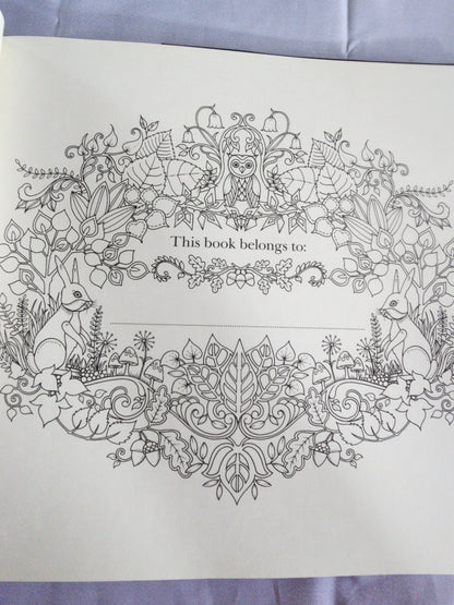 The Enchanted Forest an Inky Quest & Coloring
Book by Johanna Basford