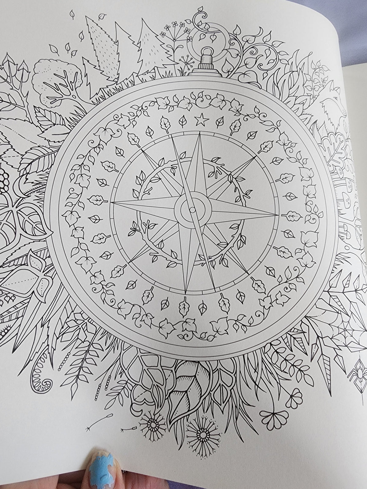 The Enchanted Forest an Inky Quest & Coloring
Book by Johanna Basford