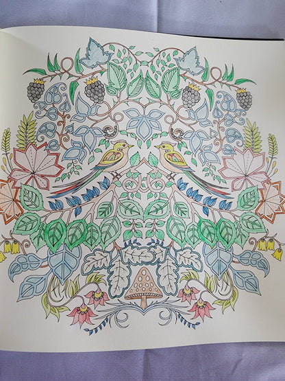 The Enchanted Forest an Inky Quest & Coloring
Book by Johanna Basford