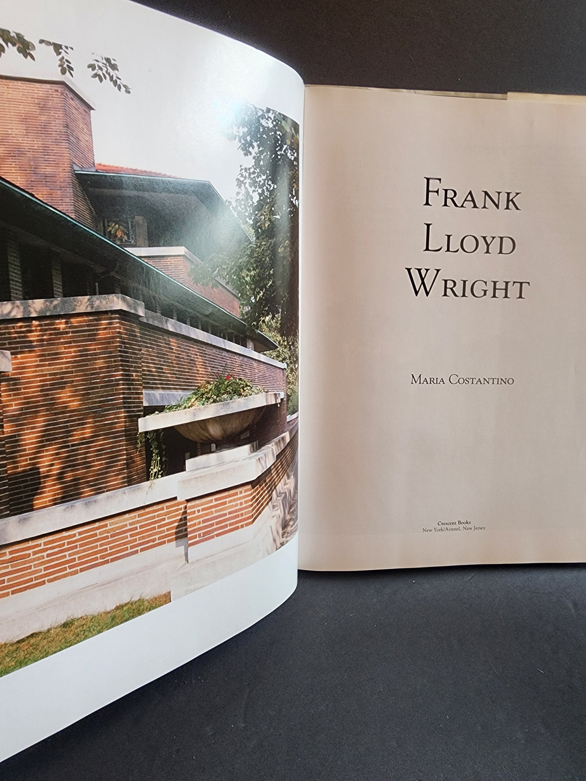 Frank Lloyd Wright Hardcover Book Maria Costantino Architecture Photos Fallingwater 1991