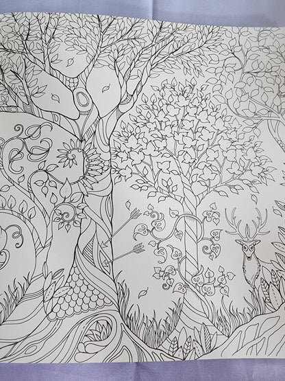 The Enchanted Forest an Inky Quest & Coloring
Book by Johanna Basford