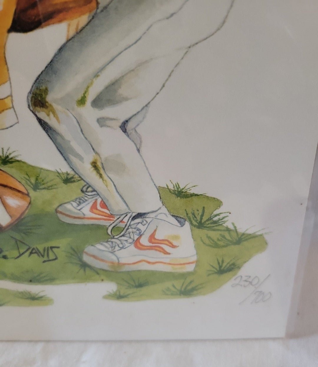 Tennessee vs Flordia Gators Football Print picture September sellout - I Bought a Yard Sale