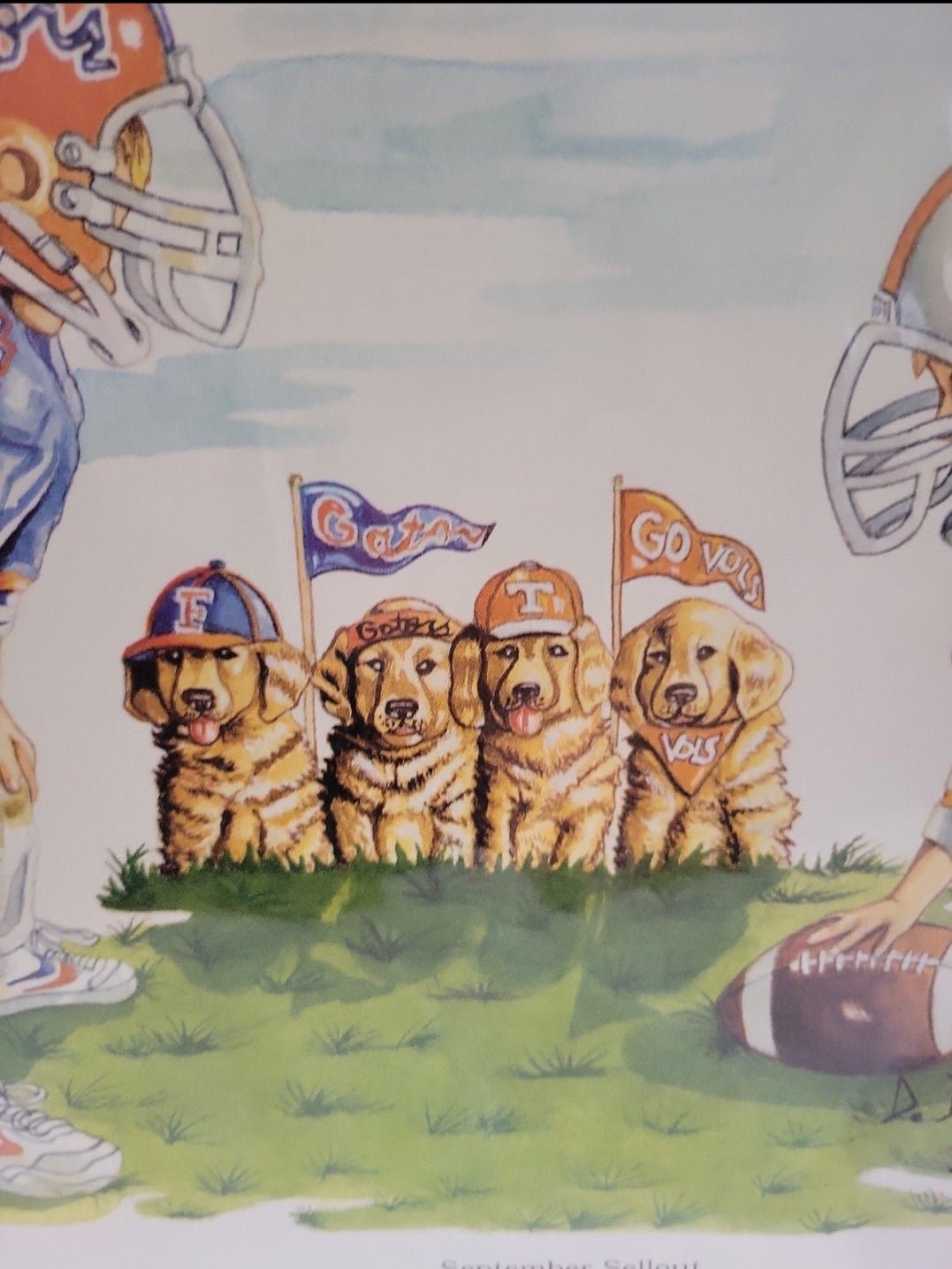 Tennessee vs Flordia Gators Football Print picture September sellout - I Bought a Yard Sale